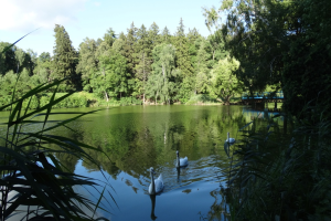 Дендропарк Тростянец